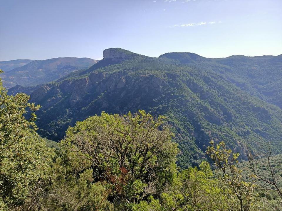 Sa Stiddiosa Guesthouse Gadoni Esterno foto