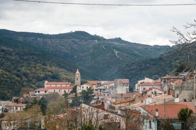 Sa Stiddiosa Guesthouse Gadoni Esterno foto